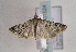  ( - TLMF Lep 01524)  @13 [ ] Copyright  TLMF 2010 Unspecified