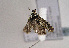  ( - TLMF Lep 01535)  @12 [ ] Copyright  TLMF 2010 Unspecified
