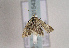  ( - TLMF Lep 01543)  @12 [ ] Copyright  TLMF 2010 Unspecified