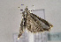  ( - TLMF Lep 01575)  @12 [ ] Copyright  TLMF 2010 Unspecified