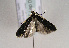  ( - TLMF Lep 01577)  @12 [ ] Copyright  TLMF 2010 Unspecified