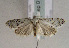  ( - TLMF Lep 01581)  @14 [ ] Copyright  TLMF 2010 Unspecified