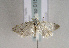  (Cnephasia heinemanni - TLMF Lep 01582)  @14 [ ] Copyright  TLMF 2010 Unspecified