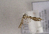  ( - TLMF Lep 01593)  @12 [ ] Copyright  TLMF 2010 Unspecified