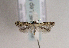  ( - TLMF Lep 01598)  @12 [ ] Copyright  TLMF 2010 Unspecified