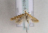  ( - TLMF Lep 01606)  @13 [ ] Copyright  TLMF 2010 Unspecified
