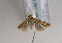  ( - TLMF Lep 01607)  @13 [ ] Copyright  TLMF 2010 Unspecified