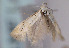  ( - TLMF Lep 01621)  @12 [ ] Copyright  TLMF 2010 Unspecified