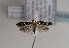  ( - TLMF Lep 01630)  @14 [ ] Copyright  TLMF 2010 Unspecified