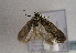  ( - TLMF Lep 01632)  @13 [ ] Copyright  TLMF 2010 Unspecified