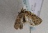 ( - TLMF Lep 01637)  @12 [ ] Copyright  TLMF 2010 Unspecified