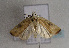  ( - TLMF Lep 01640)  @13 [ ] Copyright  TLMF 2010 Unspecified