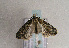  ( - TLMF Lep 01643)  @12 [ ] Copyright  TLMF 2010 Unspecified