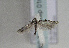  ( - TLMF Lep 01661)  @12 [ ] Copyright  TLMF 2010 Unspecified
