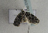  ( - TLMF Lep 01669)  @12 [ ] Copyright  TLMF 2010 Unspecified