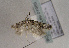  ( - TLMF Lep 01688)  @12 [ ] Copyright  TLMF 2010 Unspecified
