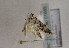  ( - TLMF Lep 01689)  @12 [ ] Copyright  TLMF 2010 Unspecified