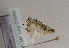  ( - TLMF Lep 01690)  @12 [ ] Copyright  TLMF 2010 Unspecified