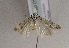  ( - TLMF Lep 01691)  @12 [ ] Copyright  TLMF 2010 Unspecified