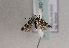  ( - TLMF Lep 01699)  @12 [ ] Copyright  TLMF 2010 Unspecified