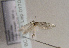  ( - TLMF Lep 01701)  @12 [ ] Copyright  TLMF 2010 Unspecified