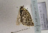  ( - TLMF Lep 01712)  @12 [ ] Copyright  TLMF 2010 Unspecified