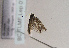  ( - TLMF Lep 01728)  @12 [ ] Copyright  TLMF 2010 Unspecified