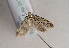  ( - TLMF Lep 01731)  @13 [ ] Copyright  TLMF 2010 Unspecified