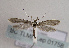  ( - TLMF Lep 01758)  @13 [ ] Copyright  TLMF 2010 Unspecified