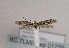  ( - TLMF Lep 01759)  @12 [ ] Copyright  TLMF 2010 Unspecified