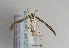 ( - TLMF Lep 01778)  @12 [ ] Copyright  TLMF 2010 Unspecified