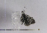  ( - TLMF Lep 01779)  @12 [ ] Copyright  TLMF 2010 Unspecified