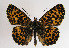  ( - TLMF Lep 01835)  @14 [ ] Copyright  TLMF 2010 Unspecified