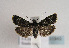  ( - TLMF Lep 01843)  @14 [ ] Copyright  TLMF 2010 Unspecified