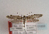  ( - TLMF Lep 01858)  @12 [ ] Copyright  TLMF 2010 Unspecified