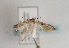  ( - TLMF Lep 01869)  @13 [ ] Copyright  TLMF 2010 Unspecified