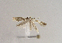  ( - TLMF Lep 01870)  @13 [ ] Copyright  TLMF 2010 Unspecified