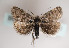  ( - TLMF Lep 01880)  @13 [ ] Copyright  TLMF 2010 Unspecified