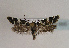  ( - TLMF Lep 01895)  @14 [ ] Copyright  TLMF 2010 Unspecified