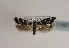  ( - TLMF Lep 01897)  @14 [ ] Copyright  TLMF 2010 Unspecified