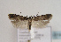 ( - TLMF Lep 01913)  @13 [ ] Copyright  TLMF 2010 Unspecified