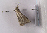  ( - TLMF Lep 01944)  @12 [ ] Copyright  TLMF 2010 Unspecified