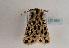  ( - TLMF Lep 01955)  @13 [ ] Copyright  TLMF 2010 Unspecified