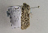  ( - TLMF Lep 01961)  @12 [ ] Copyright  TLMF 2010 Unspecified