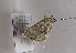  ( - TLMF Lep 01962)  @13 [ ] Copyright  TLMF 2010 Unspecified