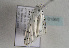 ( - TLMF Lep 01965)  @12 [ ] Copyright  TLMF 2010 Unspecified