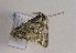  ( - TLMF Lep 02010)  @12 [ ] Copyright  TLMF 2010 Unspecified