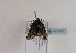  ( - TLMF Lep 02026)  @12 [ ] Copyright  TLMF 2010 Unspecified