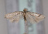  ( - TLMF Lep 02095)  @13 [ ] Copyright  TLMF 2070 Unspecified
