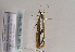  ( - TLMF Lep 02101)  @12 [ ] Copyright  TLMF 2076 Unspecified